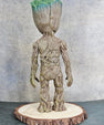Baby Groot Premium Action Figure | 35 cm | Moving Joints | Collector Box - Senzo.in